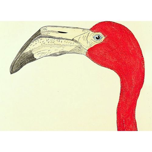 Red Flamingo Painting Poster Red Flamingo Painting Poster