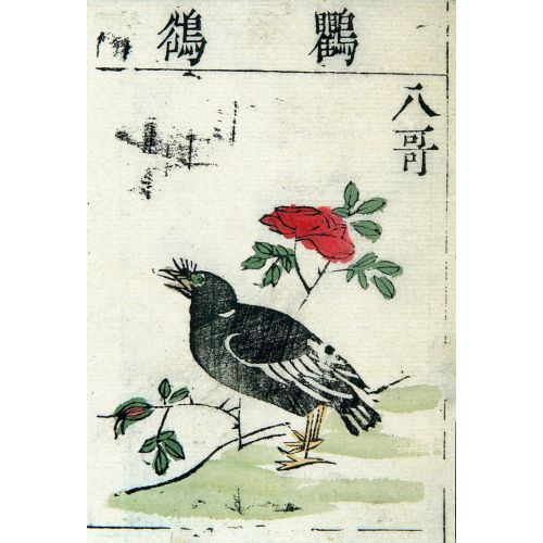 Ming Bitkisel Boya Çin Orman Sığırcık Posteri Ming Bitkisel Boya Çin Orman Sığırcık Posteri