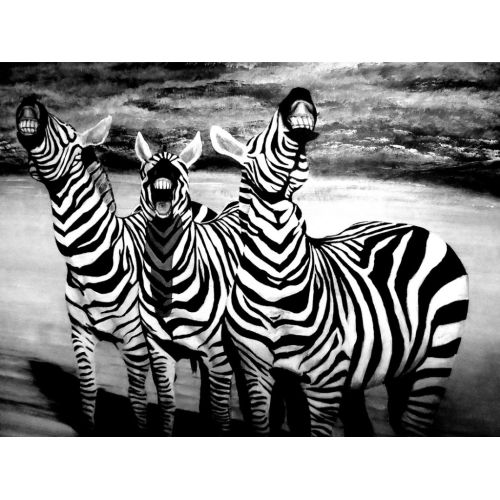Smiling Zebras Poster