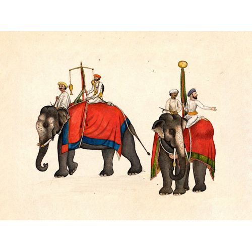 Two Elephants Carrying The Fish Poster