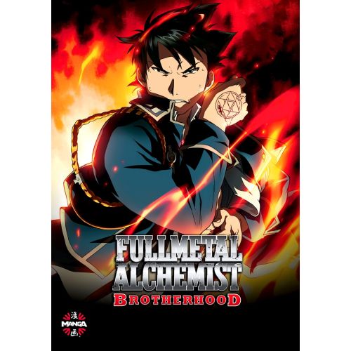 Fullmetal Alchemist Poster 16 Fullmetal Alchemist Poster 16 features eye-catching artwork of characters from the popular anime