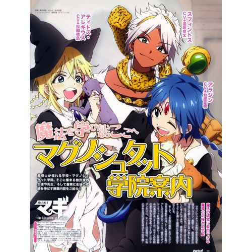 Magi Anime Manga Poster The Magi Anime Manga Poster features colorful and detailed artwork of characters from the popular anime