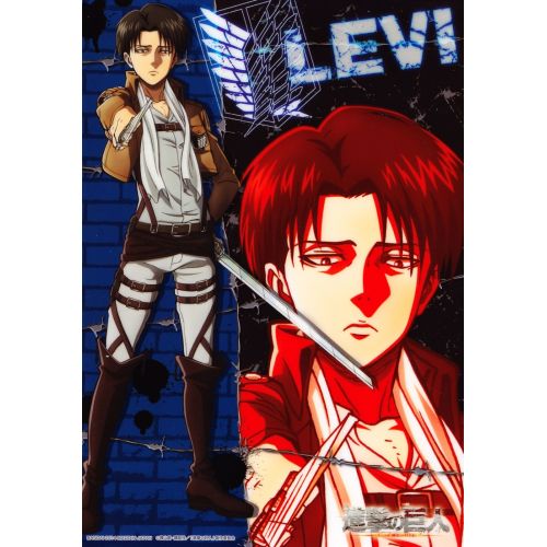 Attack On Titan Posteri 11