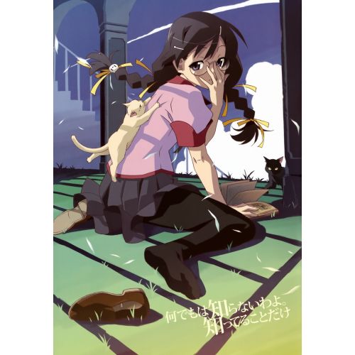 Bakemonogatari Posteri 3