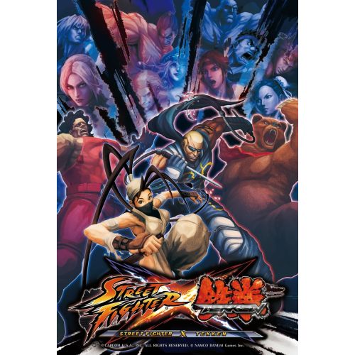 Street Fighter Posteri 7