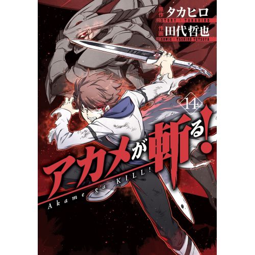 Akame Ga Kill! Posteri 3 Akame Ga Kill! Posteri 3
