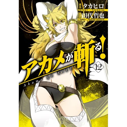 Akame Ga Kill! Posteri 5 Akame Ga Kill! Posteri 5