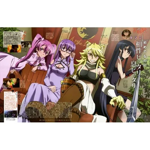 Akame Ga Kill! Poster 6 Anime Posters Anime, manga series poster print sales, buy high resolution image download, popular famous