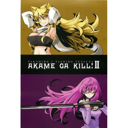 Akame Ga Kill! Poster 7 Anime Posters Anime, manga series poster print sales, buy high resolution image download, popular famous