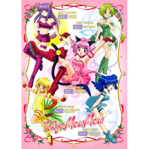 Tokyo Mew Mew Poster 2