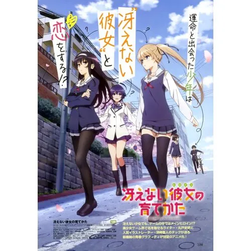 Saekano Anime Manga Posteri Saekano Anime Manga Poster, popüler bir anime ve manga serisi olan Saenai Heroine no Sodatekatanın