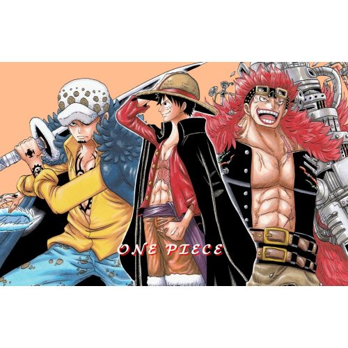 One Piece Posteri 24