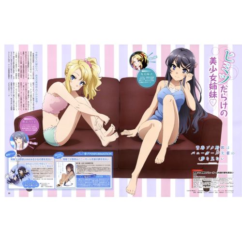 Rascal Does Not Dream Of A Dreaming Girl Posteri 11