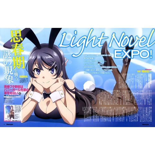 Rascal Does Not Dream Of A Dreaming Girl Posteri 14