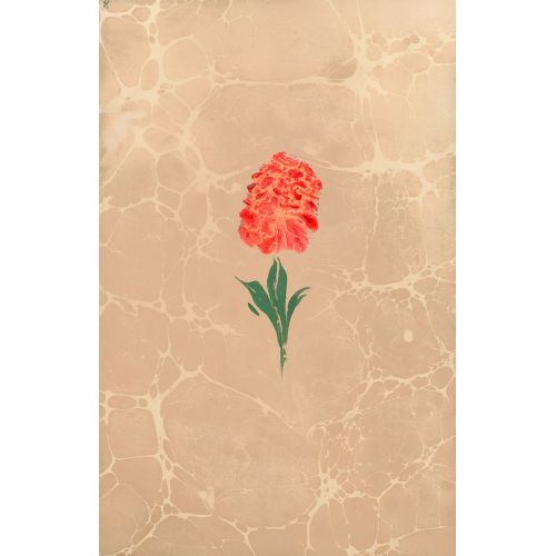 Measured Practice Album, Marbling, Mehmed Şevki Efendi 14 Elevate your space with the grace of Islamic Art. Explore canvas