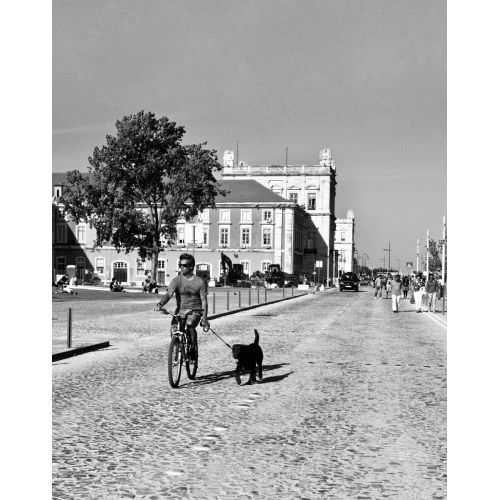 Riding The Bike And Walking The Dog Poster The Riding The Bike And Walking The Dog poster features a colorful and playful