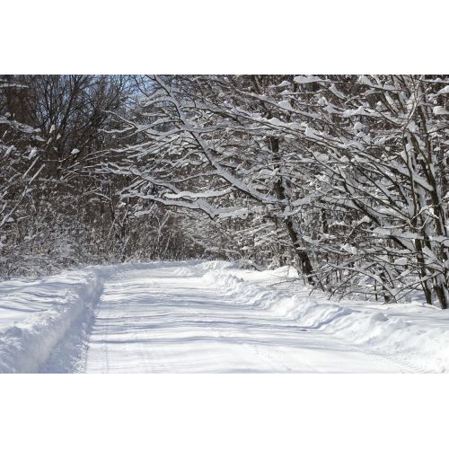 Snowy Road Poster Snowy Road Poster