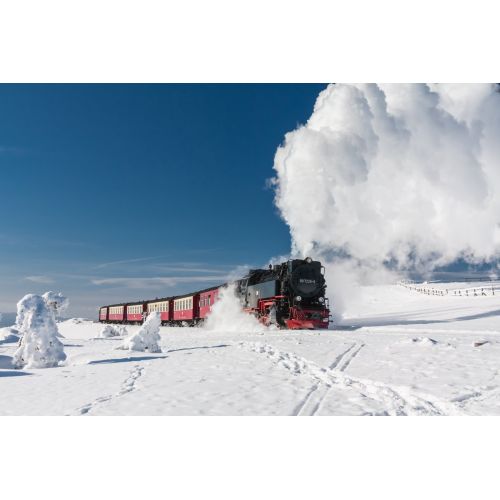 Train In Snow Poster Train In Snow Poster