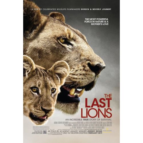 The Last Lions Documentary Poster The Last Lions Documentary Poster features a powerful and majestic lion staring into the