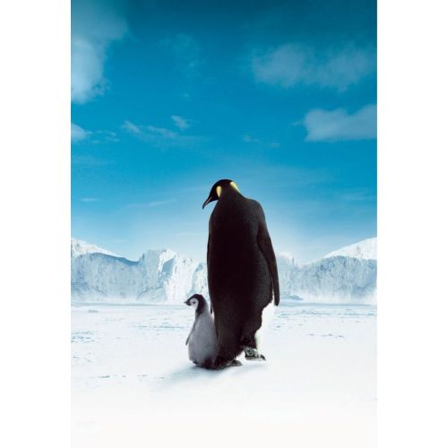 İmparatorun Yolculuğu, Penguenler Belgesel Posteri 4 İmparatorun Yolculuğu, Penguenler Belgesel Posteri 4