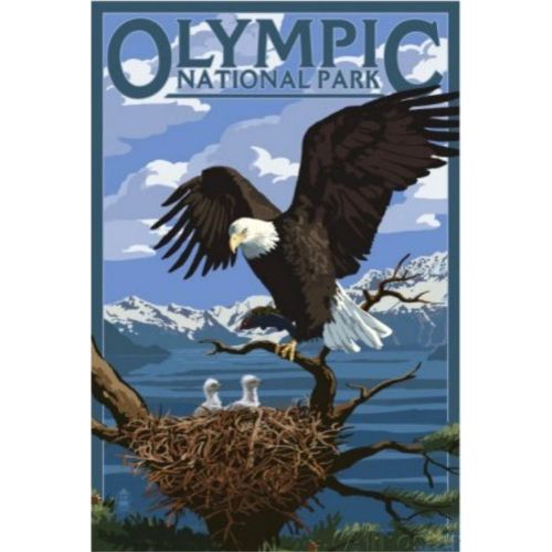 National Parks Olympic Belgesel Posteri Kartal