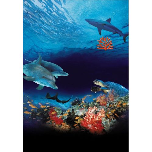 Ocean Wonderland Documentary Poster 2 Documentary Ocean Wonderland Documentary Poster 2 Ocean Wonderland Documentary Poster 2 features stunning underwater photography of vibrant