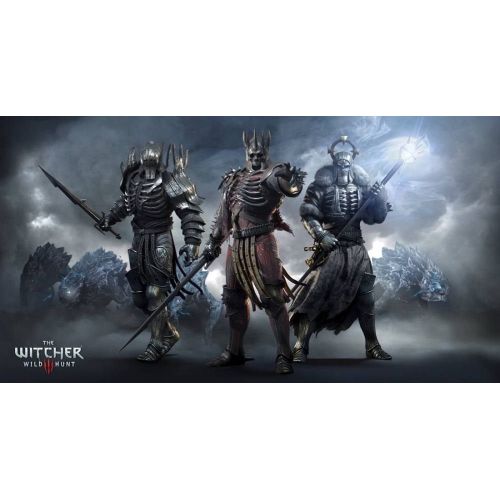 The Witcher Wild Hunt Game Poster The Witcher Wild Hunt Game Poster