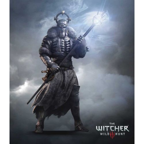 Witcher Game Poster Witcher Game Poster