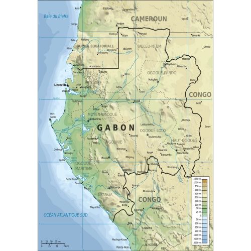 Gabon Topoğrafik Haritası Posteri Gabon Topoğrafik Haritası Posteri