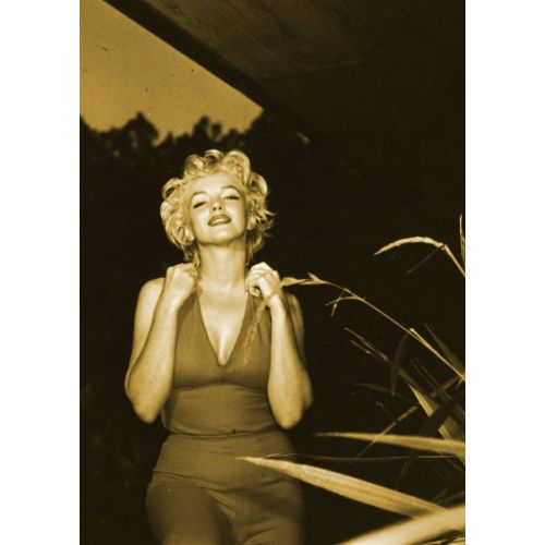 Marilyn Monroe Potre 66