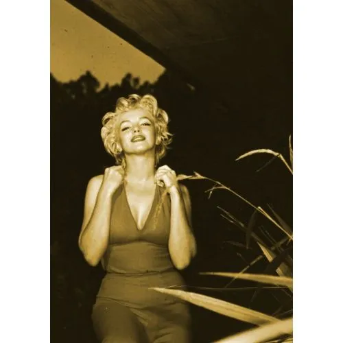 Marilyn Monroe Portrait 66 Marilyn Monroe Portrait 66 features a stunning black and white depiction of the iconic actress
