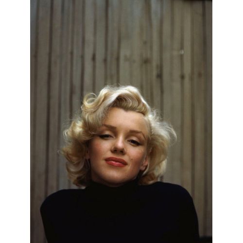 Marilyn Monroe Potre 9