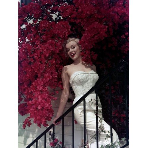 Marilyn Monroe Erguvan Ağacı Altında Posteri, Kanvas Tablo Marilyn Monroe Marilyn Monroe Erguvan Ağacı Altında Posteri, Kanvas Tablo Marilyn Monroe Erguvan Ağacı Altında Posteri, yüksek kaliteli