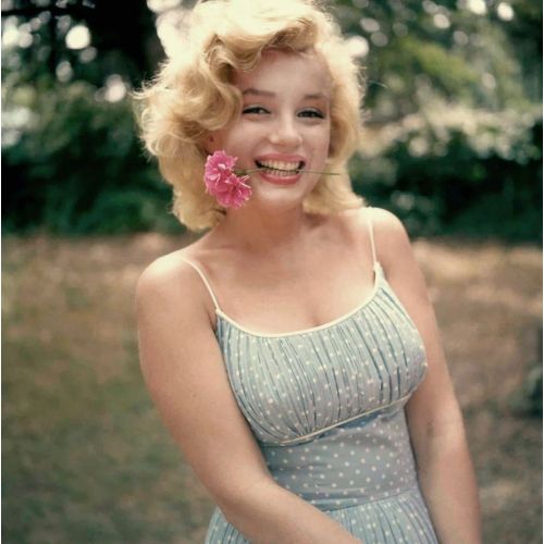Marilyn Monroe, Ağzında Çiçek Var Marilyn Monroe, Ağzında Çiçek Var