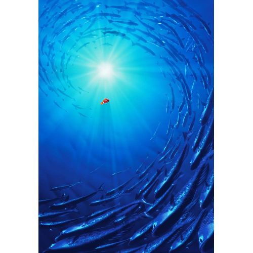 Kayıp Balik Dori Çizgi Film Posteri 4 Kayıp Balik Dori Çizgi Film Posteri 4