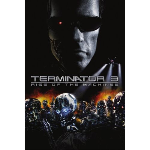 Terminatör 3: Makinelerin Yükselişi Film Posteri