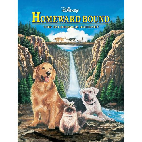 Yuvaya Dönüş, Köpek Film Posteri Yuvaya Dönüş, Köpek Film Posteri