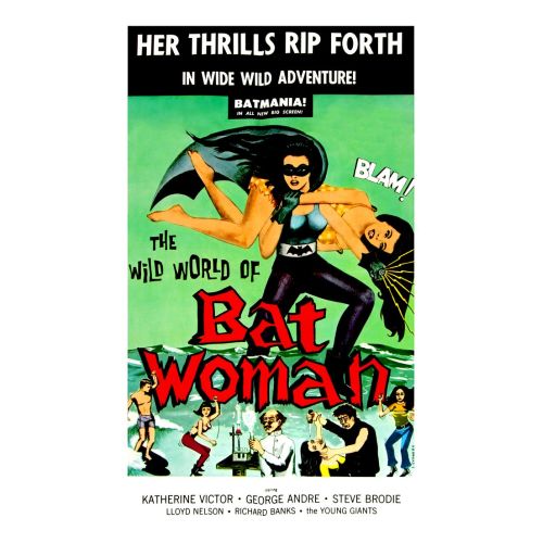 The Wild World Of Batwoman Movie Poster The Wild World of Batwoman, directed by Jerry Warren and starring Katherine Victor as