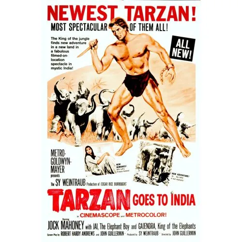 Tarzan Film Posteri Film Posteri Tarzan Film Posteri Poster BaskılarıBu popüler orijinal film posteri satın alınabilir durumda. Poster baskısı, sanat