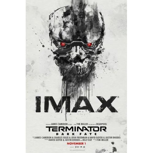 Terminator: Dark Fate Movie Poster Terminator: Dark Fate is a science fiction action film released in 2019. This exhilarating