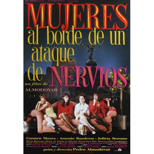 Sinir Krizinin Eşiğindeki Kadınlar 2 Film Posteri