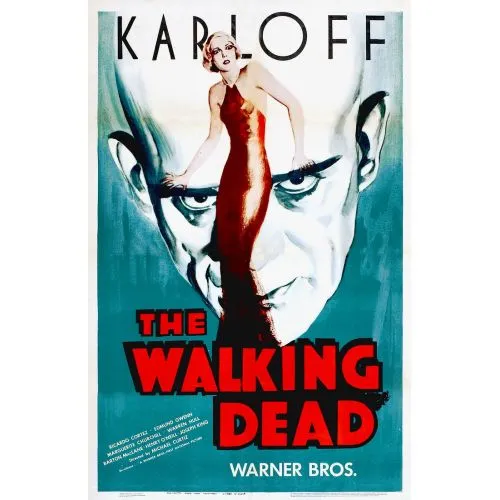 The Walking Dead Movie Poster Poster PrintsThis popular original movie poster is available for purchase. Choices include film