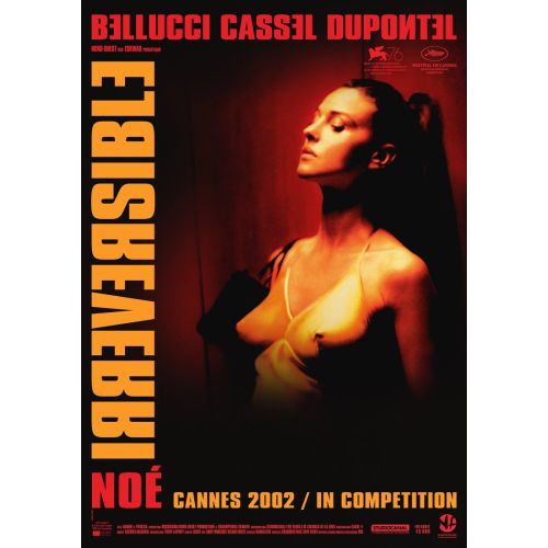 irreversible Poster 5 irreversible Poster 5