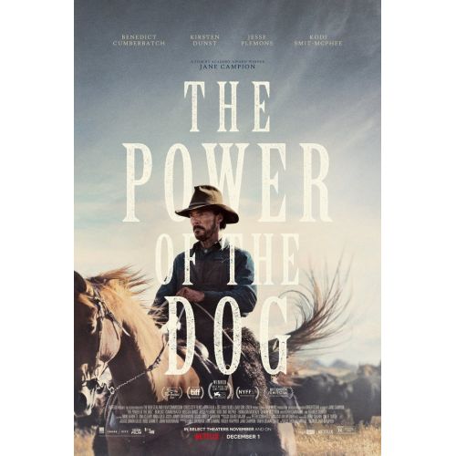 The Power of the Dog Poster