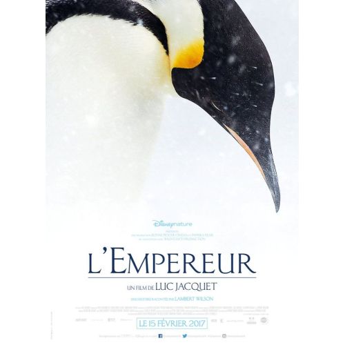 Mart Penguenleri Film Posteri Mart Penguenleri Film Posteri