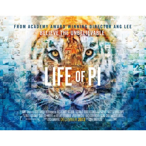 Pi'nin Yaşamı Film Posteri 4