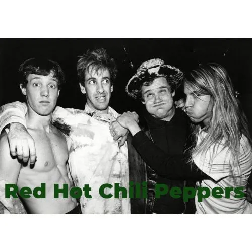 Red Hot Chili Peppers Poster The Red Hot Chili Peppers poster features a vibrant design with bold colors and graphics. The poster