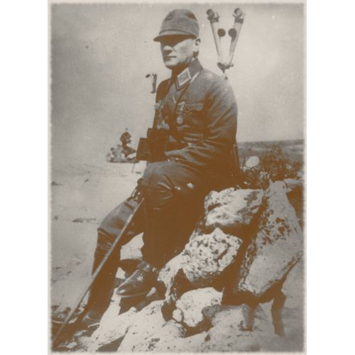 Mustafa Kemal Atatürk, Ege Tatbikatında Mustafa Kemal Atatürk, Ege Tatbikatında