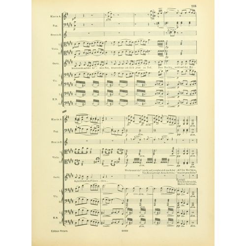 Instrumentationslehre, Von Hector Berlioz, Erganzt Und Rev, Von Richard Strauss 4 Posteri