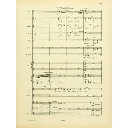 Instrumentationslehre, Von Hector Berlioz, Erganzt Und Rev, Von Richard Strauss 6 Posteri